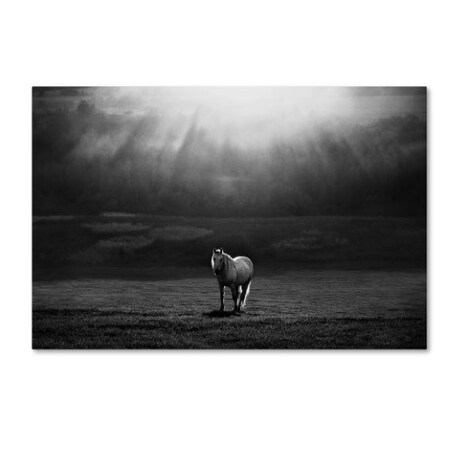 Trademark Fine Art Peter Svoboda 'Morning Appearance' Canvas Art, 16x24 1X00186-C1624GG